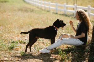 How To Train Your Pet Smarter, Not Harder